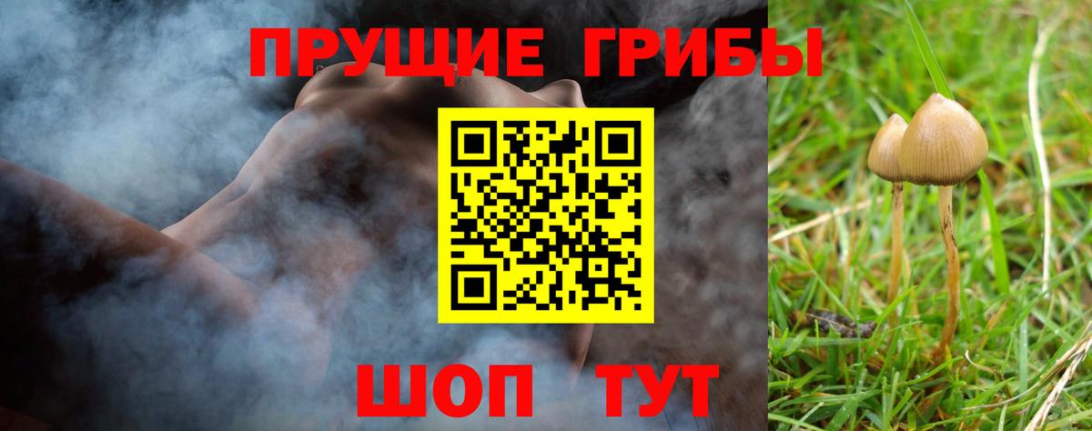 Галлюциногенные грибы прущие грибы Саянск