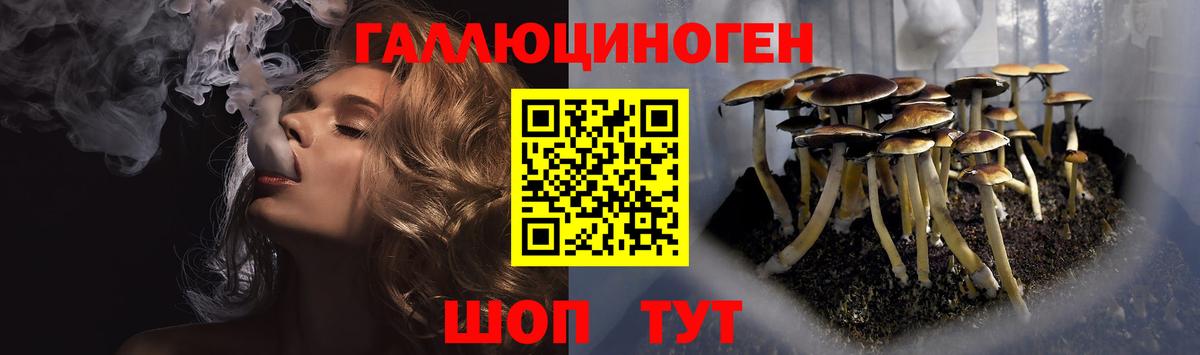 Галлюциногенные грибы прущие грибы  Псилоцибиновые грибы мицелий  Саянск  Вход с VPN 